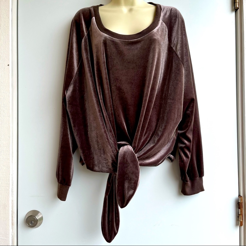 Brown Velvet Top